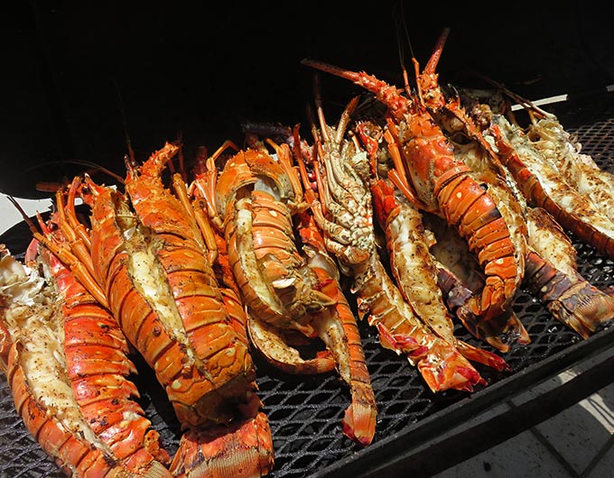 Belize Lobsterfest