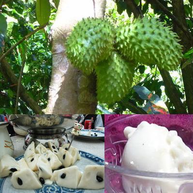Soursop