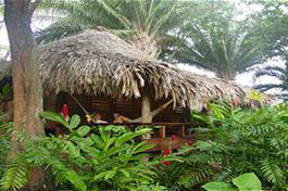 Lamanai Outpost Lodge.